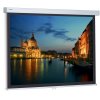 Manual Screens - ProScreen (16:9) 129x230cm