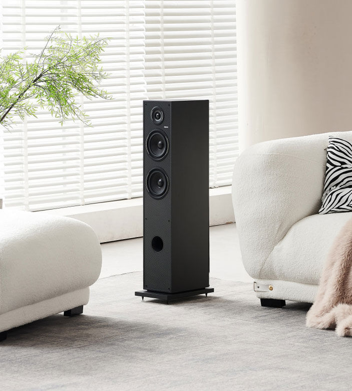 Hi-Fi Systems and High Fidelity - Horus 11F - Black/Carbon