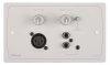Multizone Amplifiers - DLM-1W