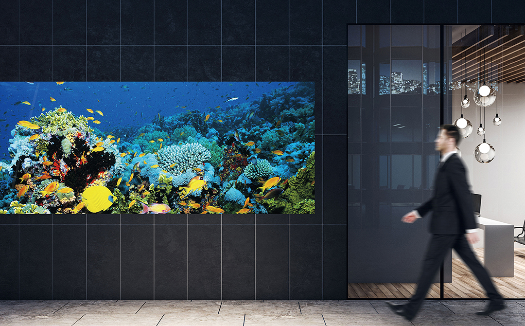 Displays Led - TL-55LV12A