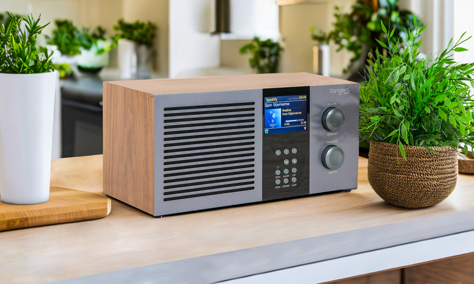 Tangent Radio Tre - Alum/Walnut